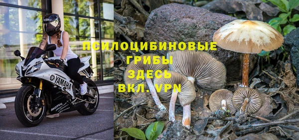 амф Россошь