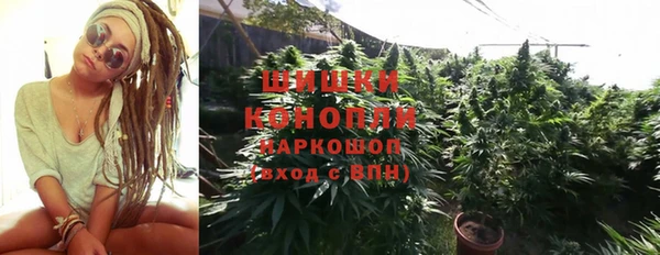 амф Рославль