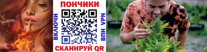 Бошки Шишки планчик  Правдинск 